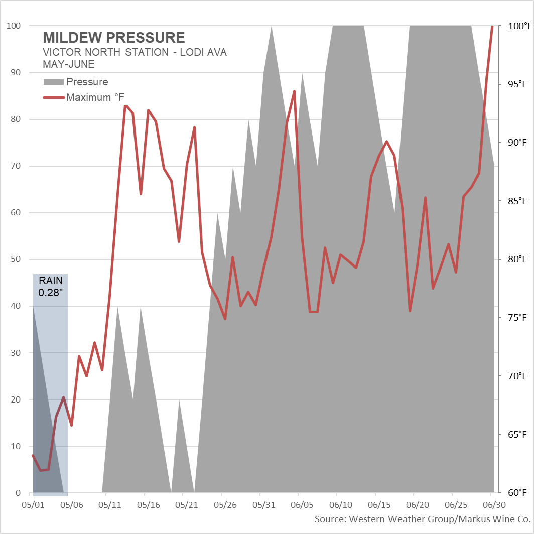 A chart showing mildew pressure with the axis on the left showing 0 up to 100 for mildew from May through June 2023. Also shown is the maximum temperatures during that period and 0.28 inches of rain is shown as a rectangle from May 1-6.